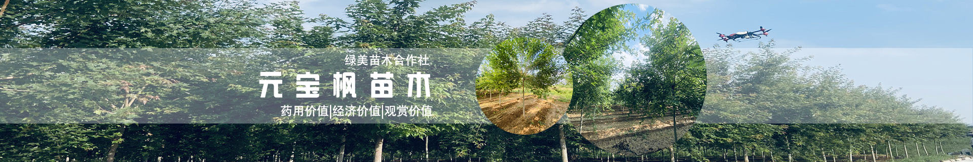 工程案例